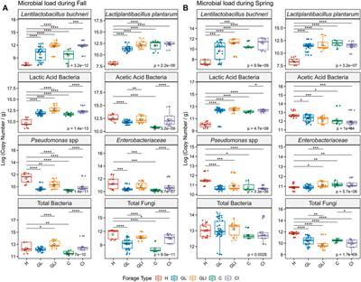 Metataxonomic insights into the microbial ecology of farm-scale hay, grass or legume, and corn silage produced with and without inoculants